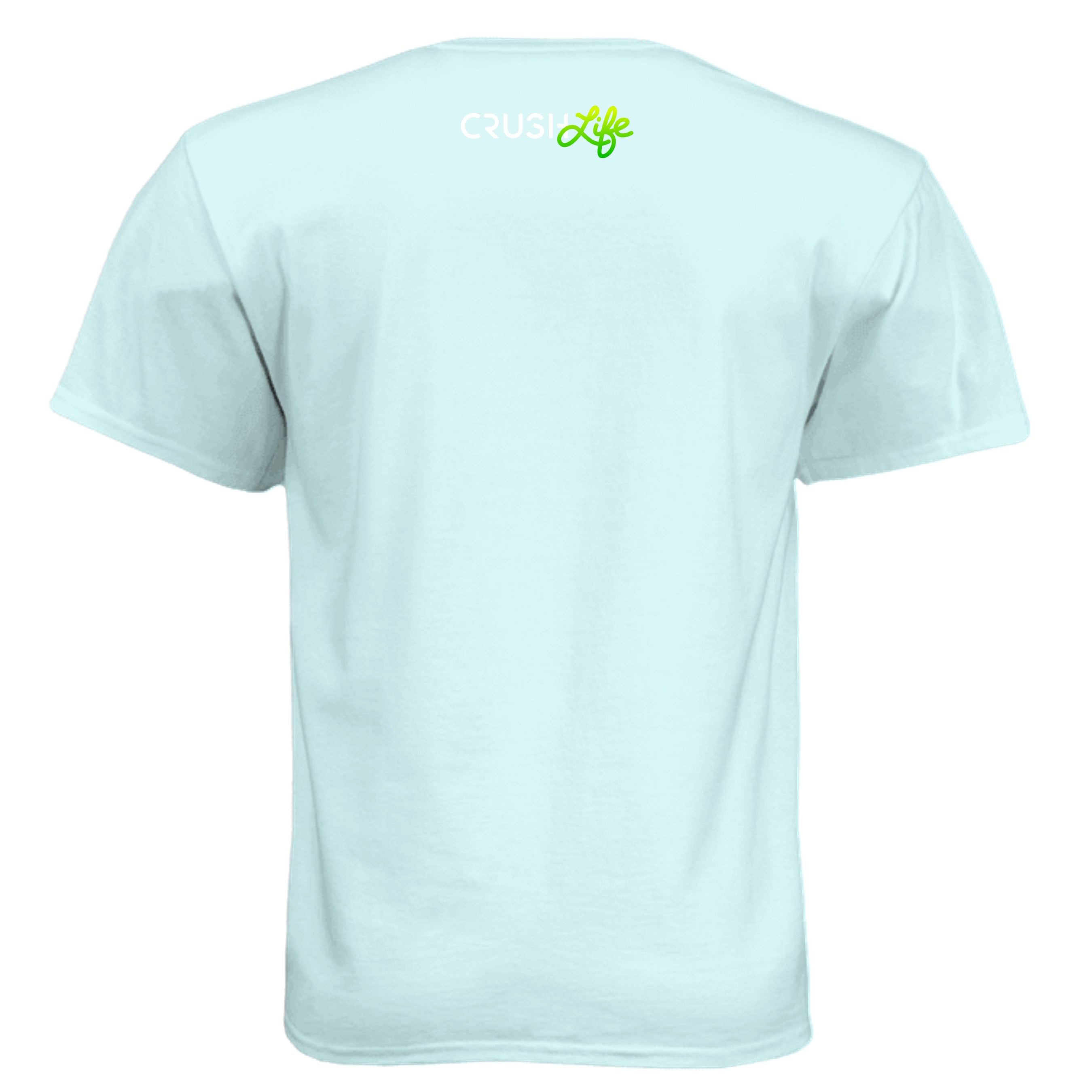 Ice Blue - N6210 - BACK