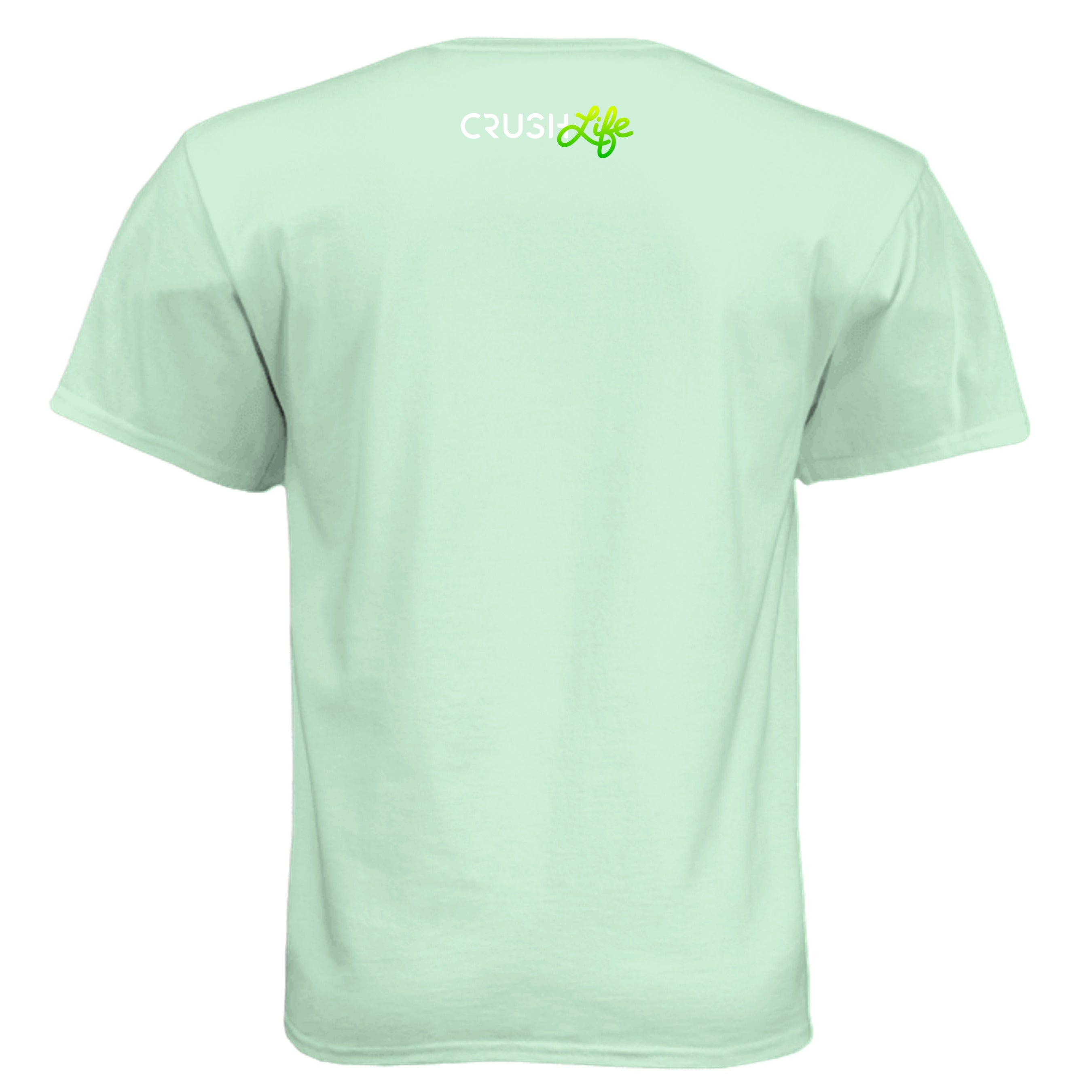 Mint - N6210 - BACK